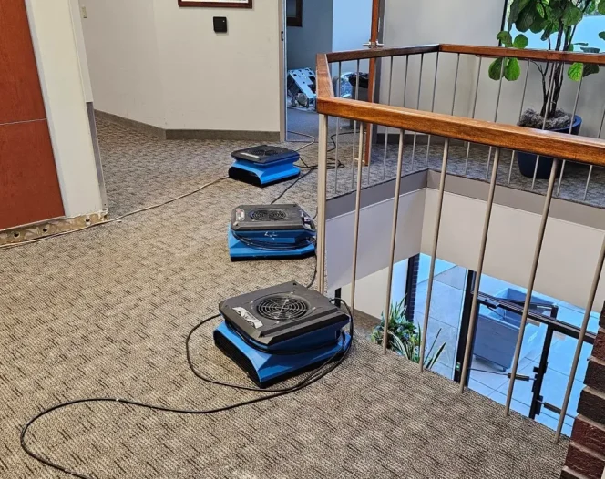 Restoration Home Page